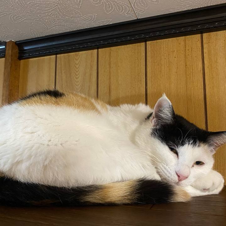 Dac97973 b2ef 4b3f b7b4 c9294644e3fb 1652442906217