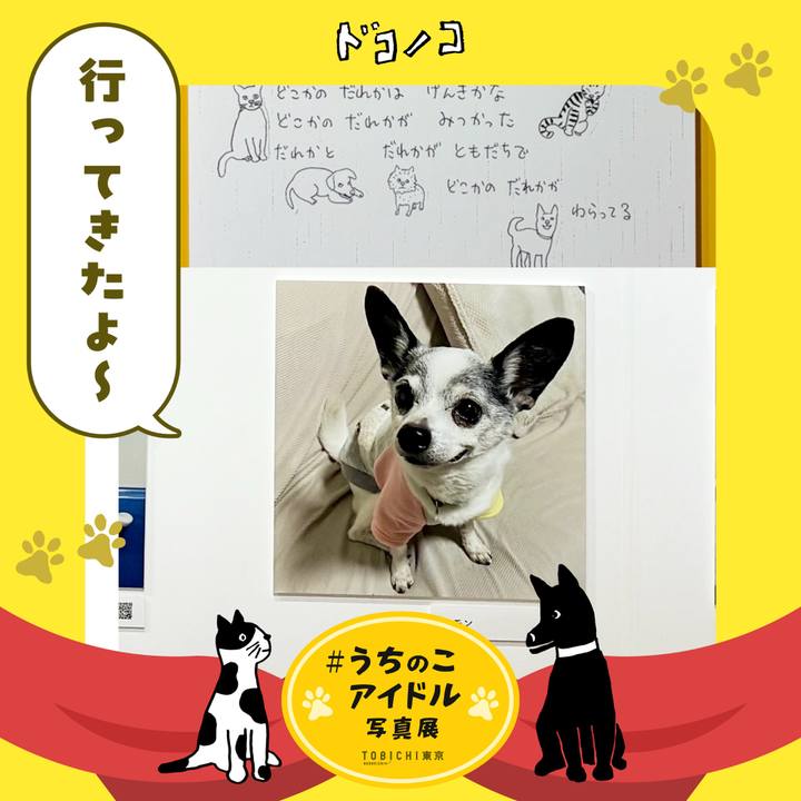 Dac993ec 3ef9 4374 95b9 dd53c6621ceb 1761176760850