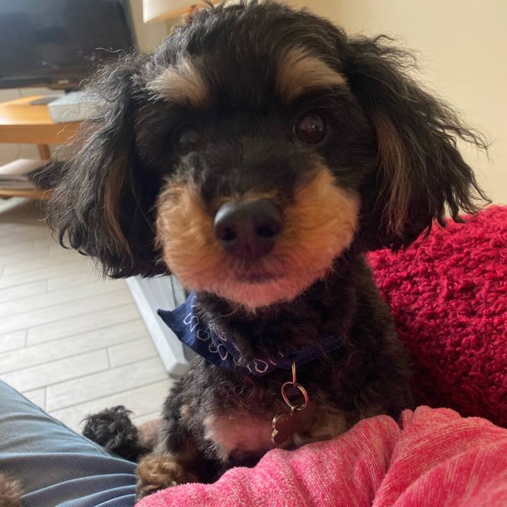 Dac9b6d2 b9d2 4ac6 9530 da5fd9a91a9e 1624523666369