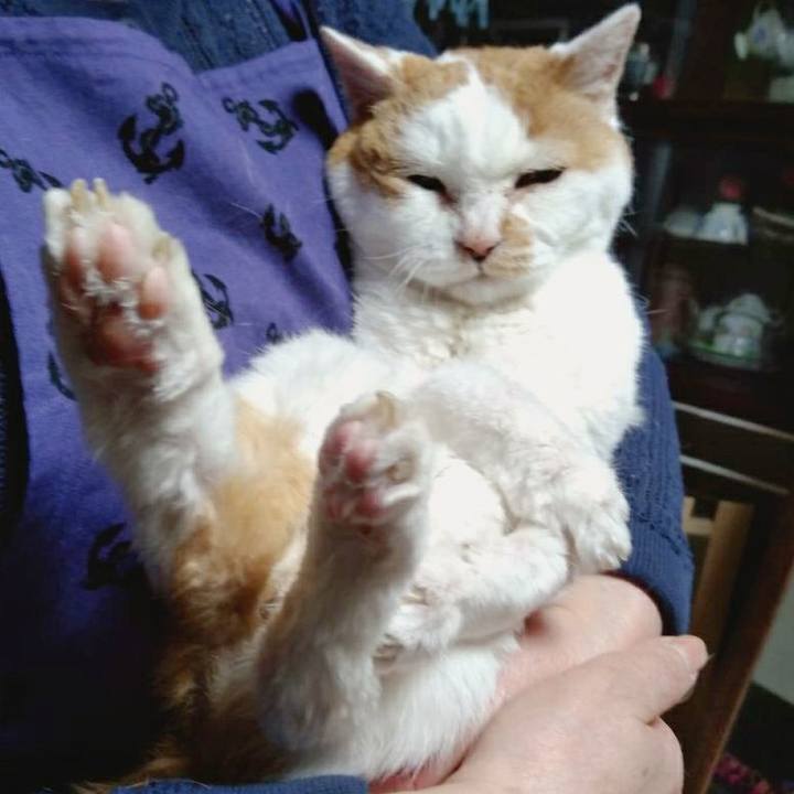 Dac9c8f9 8730 43d8 a766 732f4b99077c 1589033085090