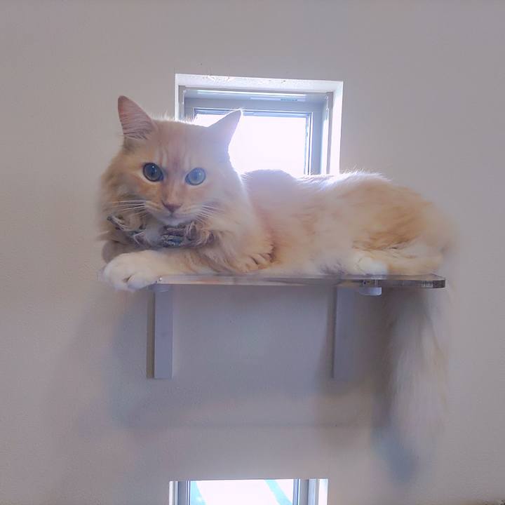 Daca5e9e 53a1 44e1 a6c0 22aa8581ae84 1723901813853