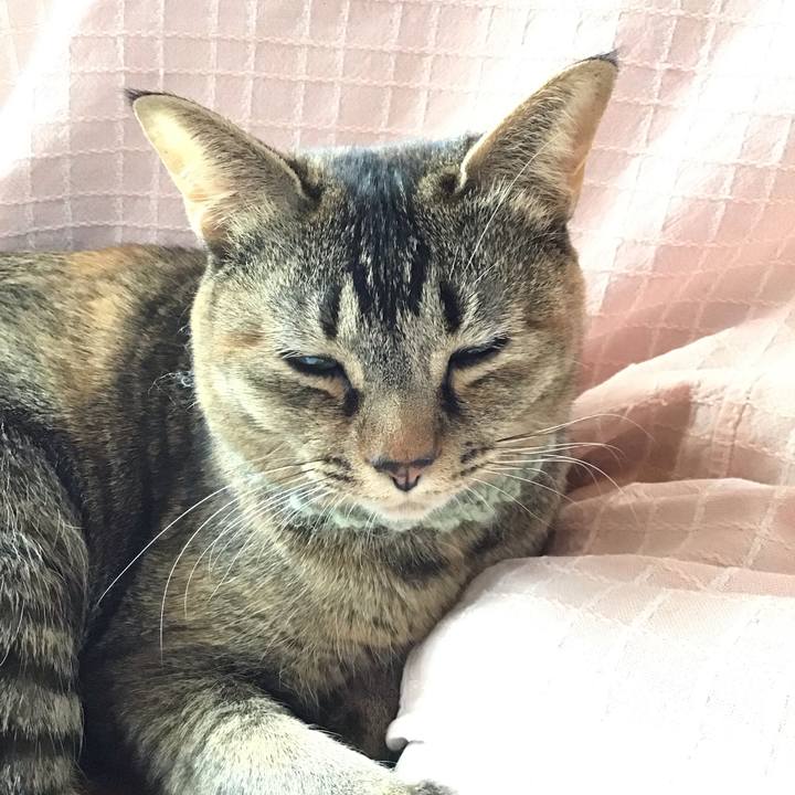 Daca803f 3f6a 4055 a688 954fd9e59f9f 1647153214665