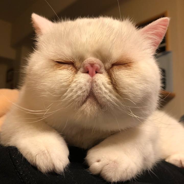 Dacab822 27de 4fca 9913 a7fb3de504f0 1649503287272