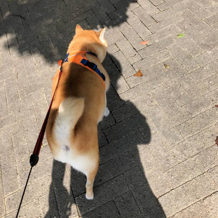 Dacac983 0b96 45df b93e 4861f67faa9e 1566425789914