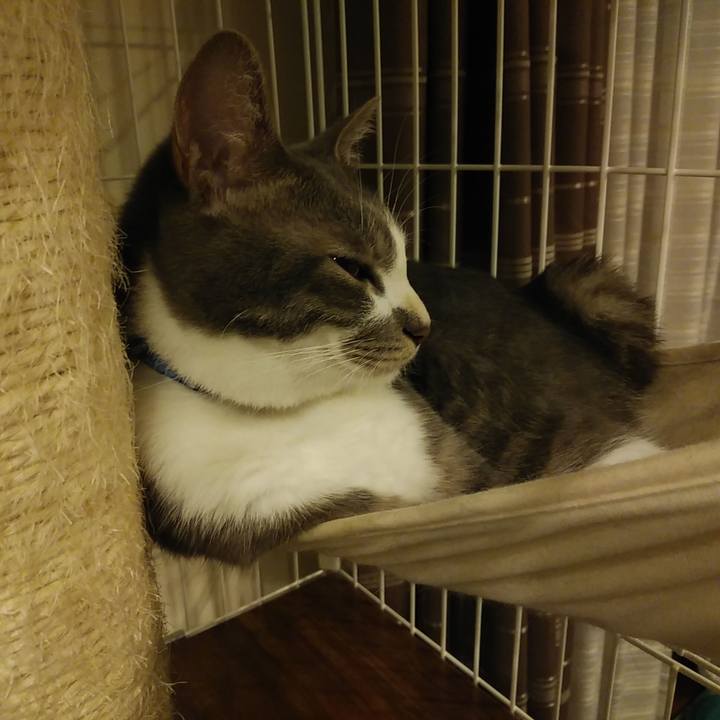 Dacaddea d69f 4a4c b8e5 cd40854409ca 1595603590626