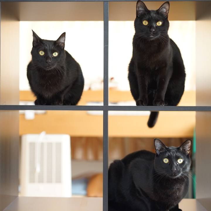 Dacb1a0b b960 457e a7fe 361e778b3964 1552094370058