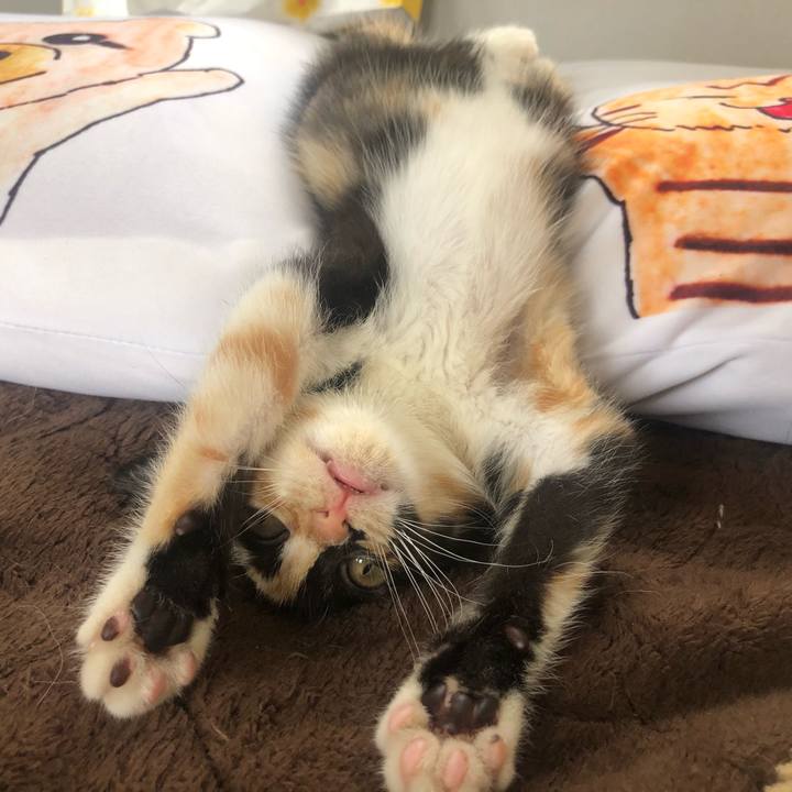 Dacb460f 9936 48e0 b64d e24a0929574d 1624152289969