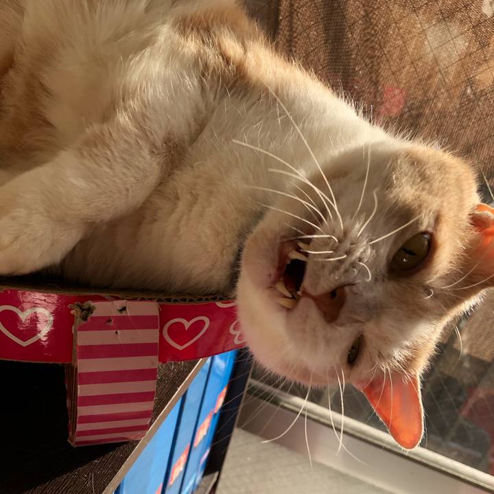 Dacb72f4 38b3 4ed3 bb64 991e34677a42 1543493303115