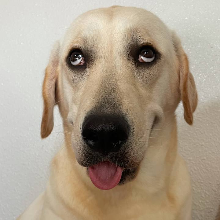 Dacb81ac b4a8 4b20 9b78 34ebbb42c3bb 1632530451078