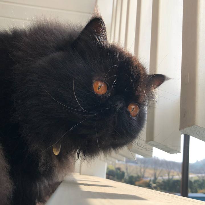 Dacb8aeb 2448 46ad b603 d0a64505e38e 1609205784502