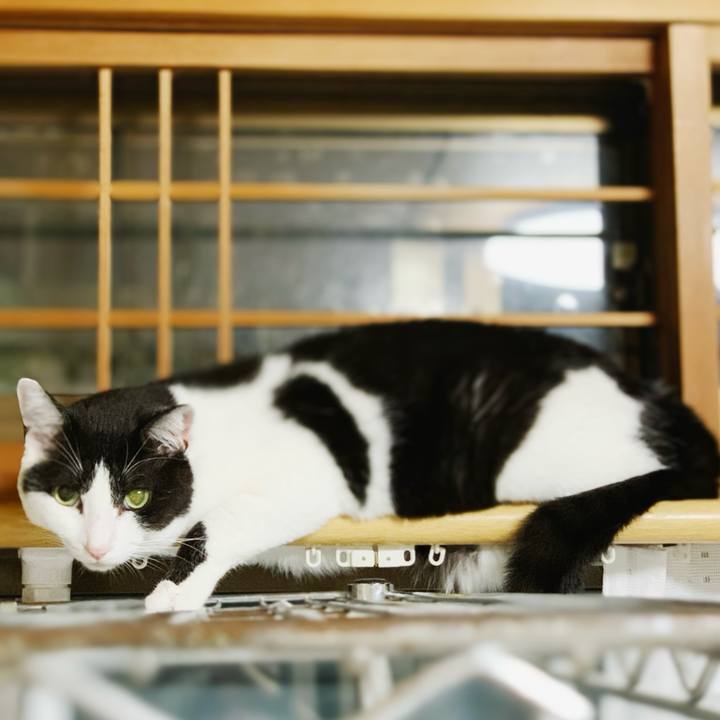 Dacb971e 587a 4fc5 9607 2feb86b1b918 1598408845029