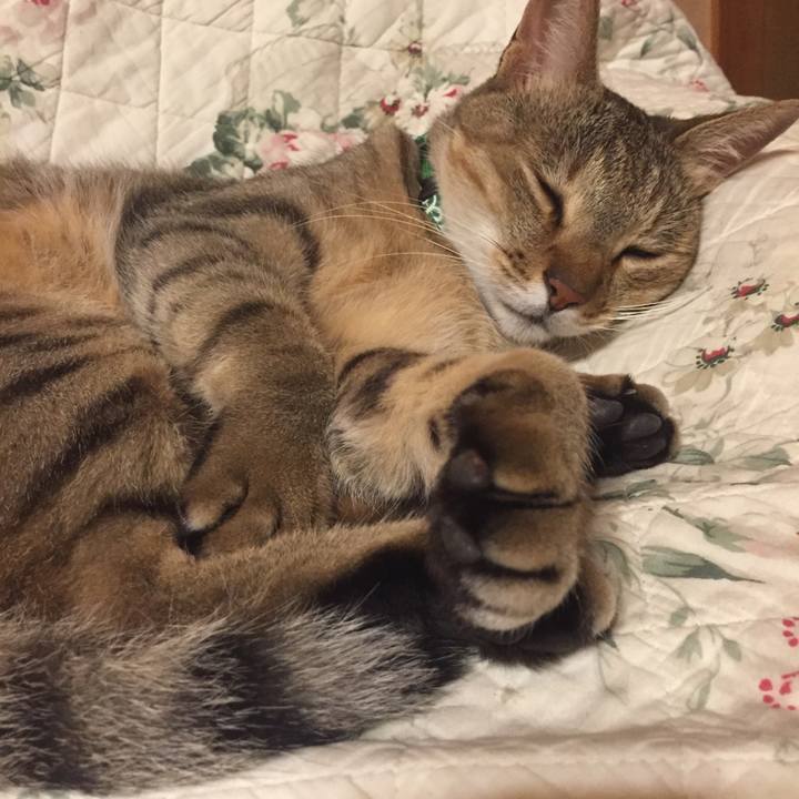 Dacbb8fa 1534 4bf3 aaa2 cd45d754677b 1533228792837