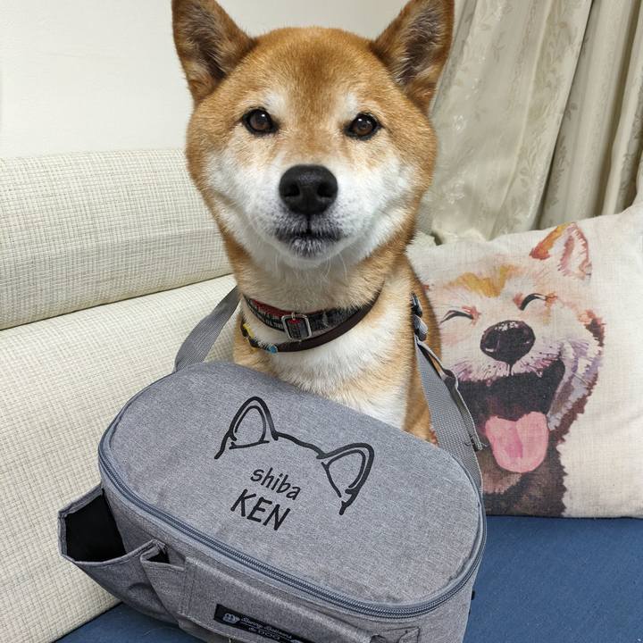 Dacbbca3 e5e5 41ba 9ea0 baa7675986a1 1719026952522