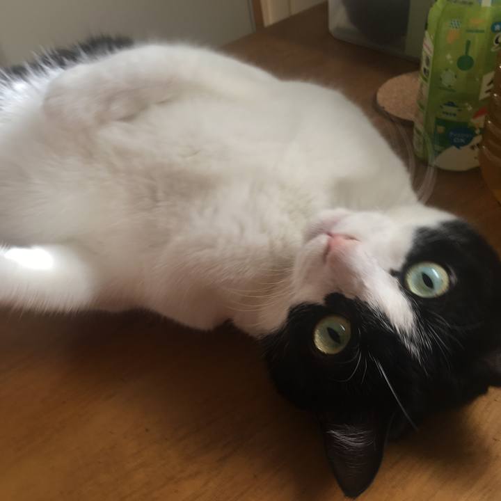 Dacbcf22 3c64 43fe a461 6231cf86f2ad 1509938075400