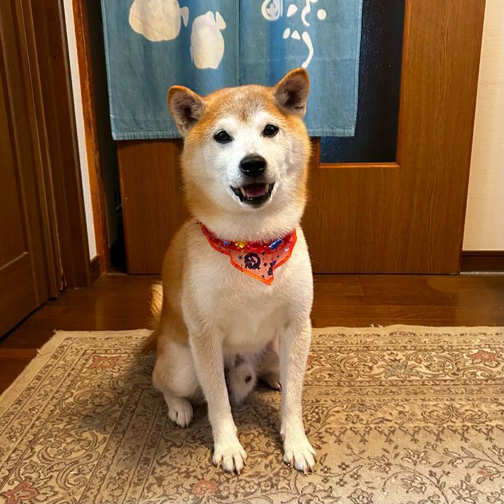 Dacbd186 9687 4126 885a 069b2f8bab8b 1761296796302