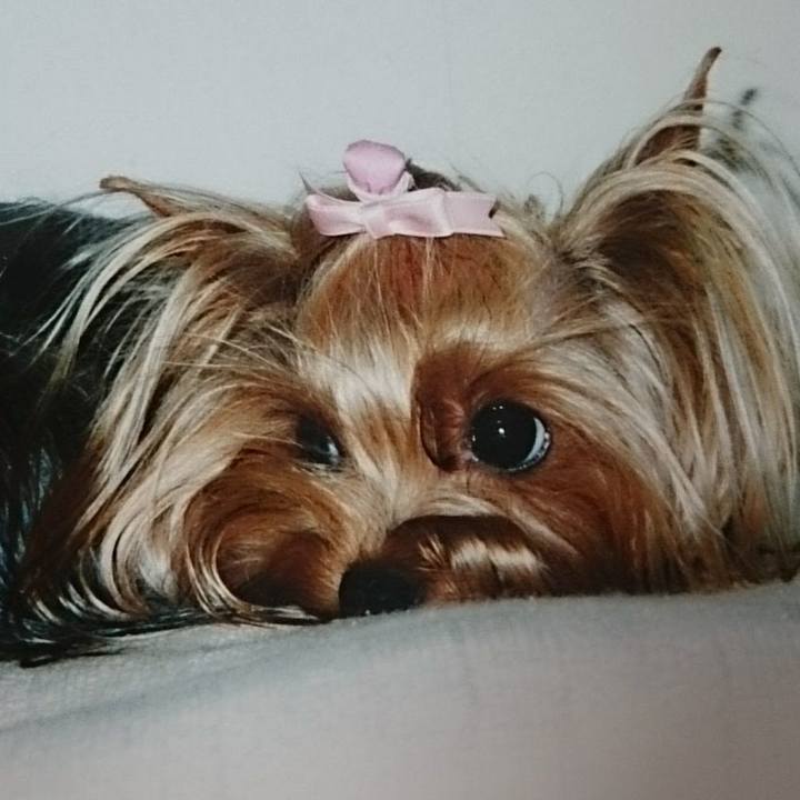 Dacc1574 ccdd 48fa 8dd1 ac507323eacf 1558156640294