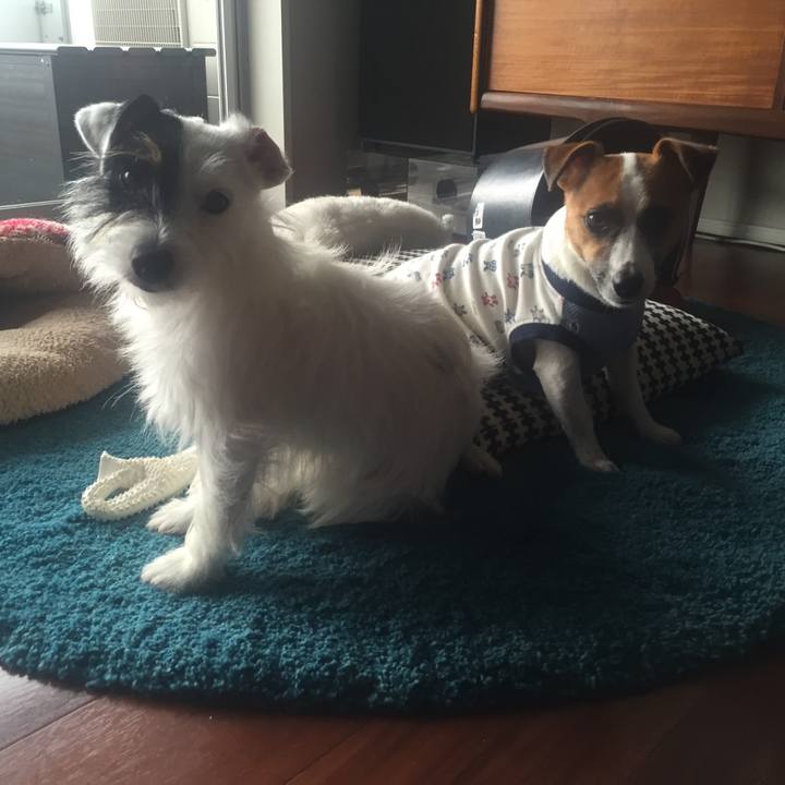 Dacc3bbb 42c9 499c b6c7 3d7d5cf44bd0 1687349138692