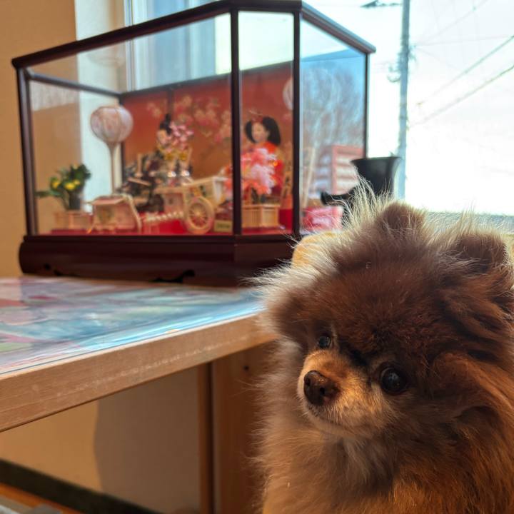 Dacc729d 7361 42b3 8217 2b002ff40ec3 1739922317834