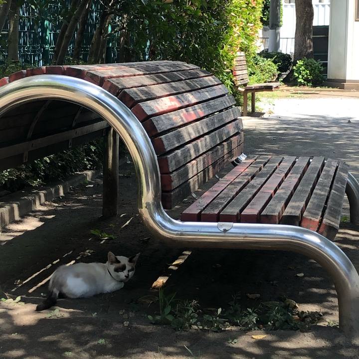 Dacc81b5 bc10 425b 9c2a 581941f8a2c2 1599978383658