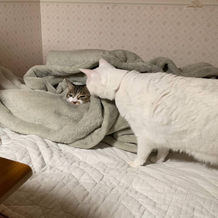 Dacccf35 374e 422d 8dda 844ac7e5759a 1647611164541