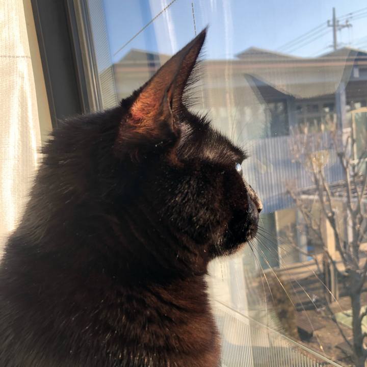 Daccdc6c 6922 49f8 bafc cbb66e9193e7 1610061452705