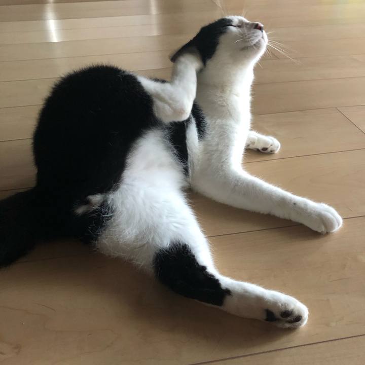 Daccf352 4f7b 430f a801 c7fa951b5177 1565736063636