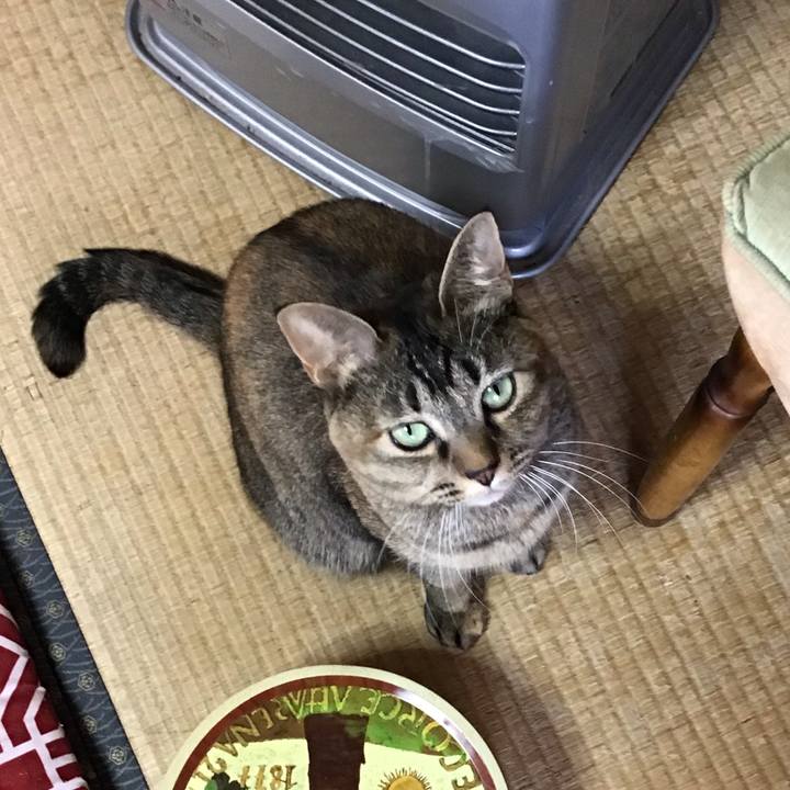 Dacd1923 ed11 40da 9793 2d6216bc1a1a 1638668879110