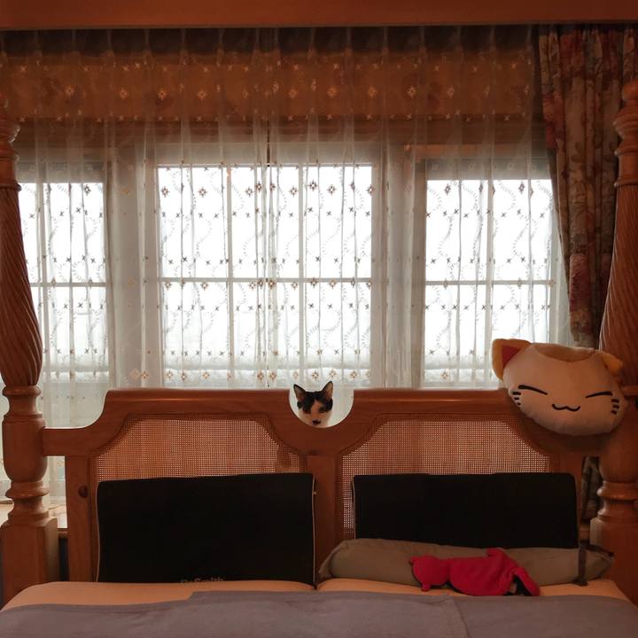 Dacd58db e5fe 4c78 948c 15b8cae769d8 1516602483977