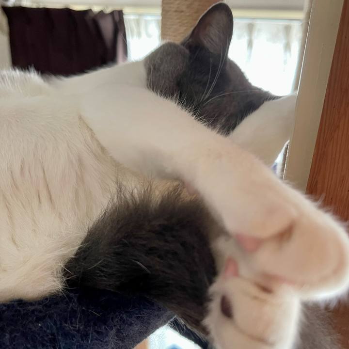 Dacd5d62 bd95 4a94 9c31 58bef610845e 1660174529313