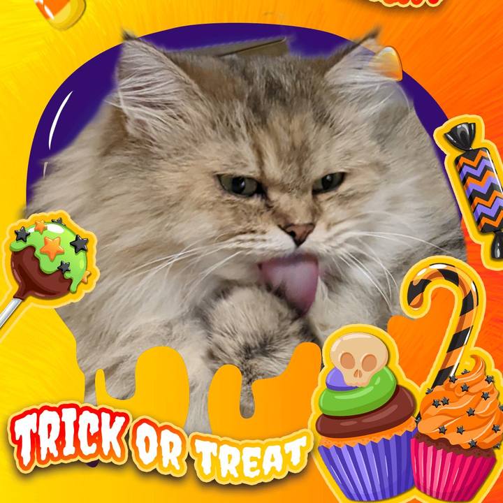 Dacd6f34 bc3f 4b92 b983 7d203a5d5ba7 1665794330412