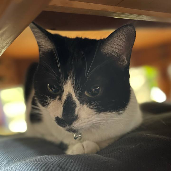 Dacd7d6e c64a 473b 817a 8b27df1ae1ed 1764385618033