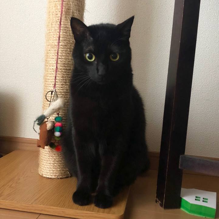 Dace5f66 06d2 46b3 8ed8 bce3fc7049fd 1542417685685