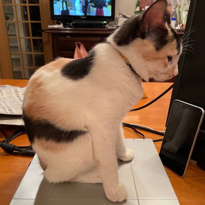 Dace6c26 a438 43d8 8d1b 1f44edcc757a 1666097892275