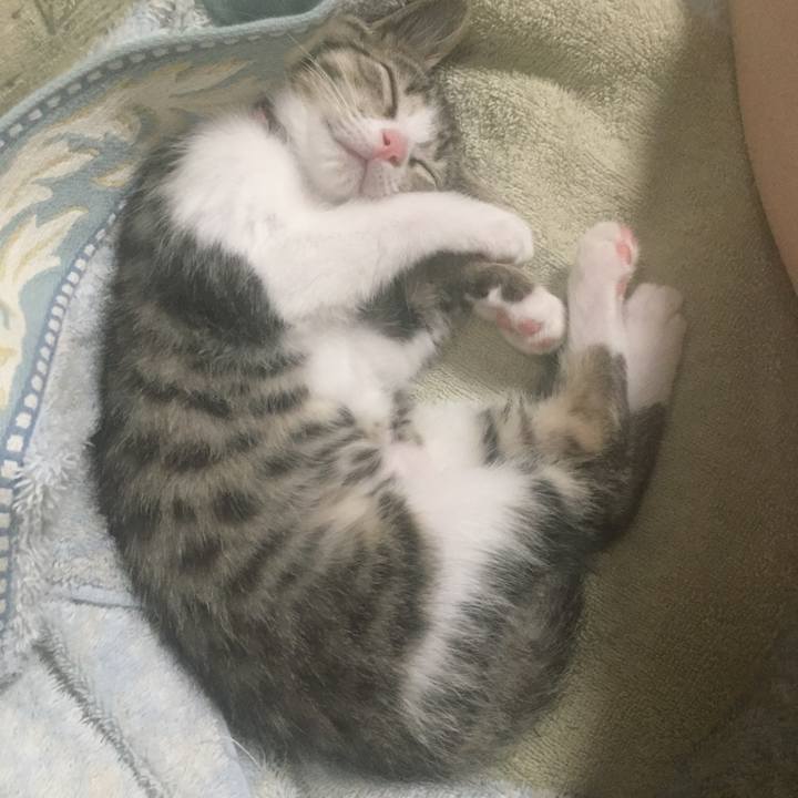 Dace6f51 1c3e 4a0b b62f dce2d60fdb60 1655635690527