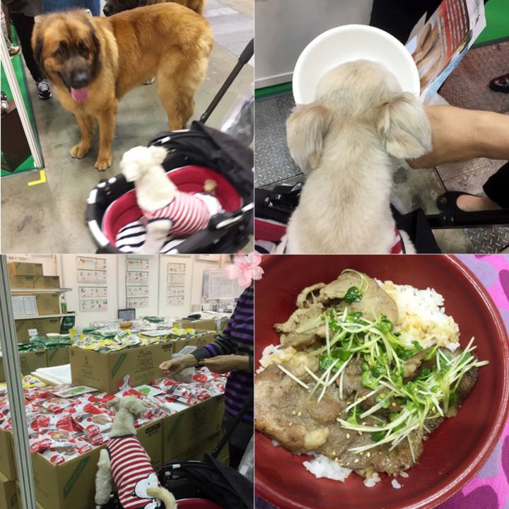 Dace9019 a557 4a48 9468 b6b3cf827780 1522667954212