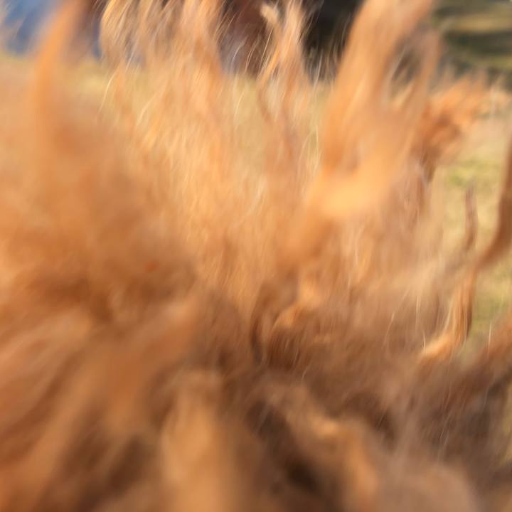 Dacea131 d09b 4277 b721 5ade4c7b7ed9 1606093801849