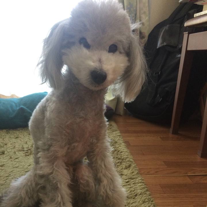 Daceaf56 71b0 44b3 a2fc 3773f0e18e29 1515936667941