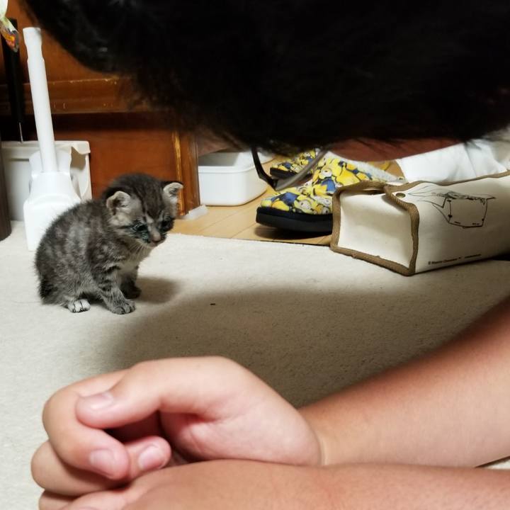 Dacee7e2 67d2 4de4 9e18 d6d379105412 1659694705468