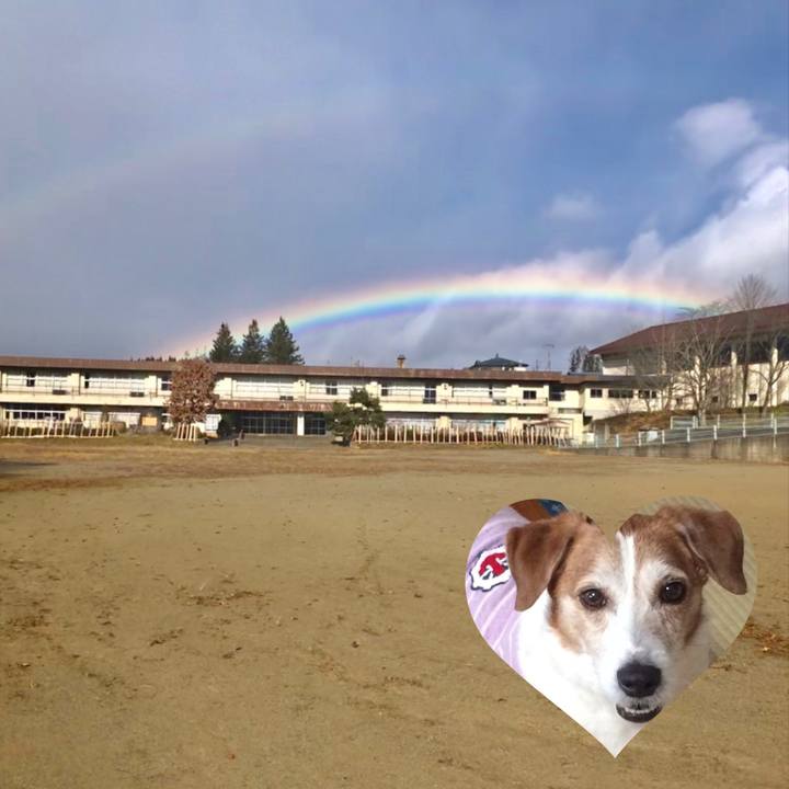 Dacf113a 6879 4c86 b6d8 4d6544056e52 1543662890196