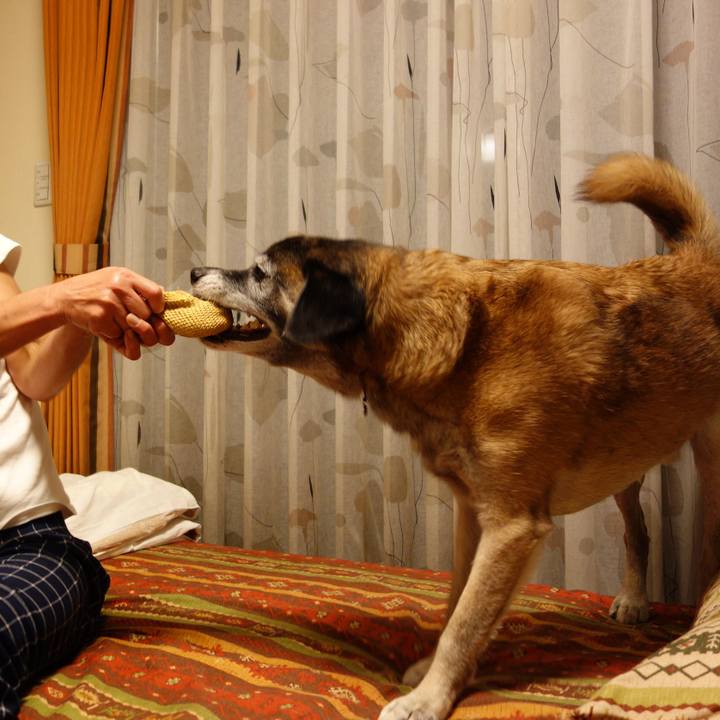 Dacf199f a196 4fd2 ae06 c8a51ce34320 1618192947414