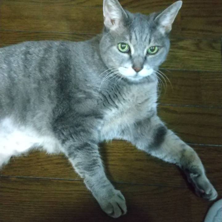 Dacf1c92 9731 4259 b987 6730308647d4 1665484703834