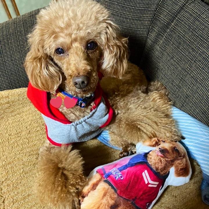 Dacf2d06 2bd4 4cd3 b2e6 40ead3cd49fb 1667695619139