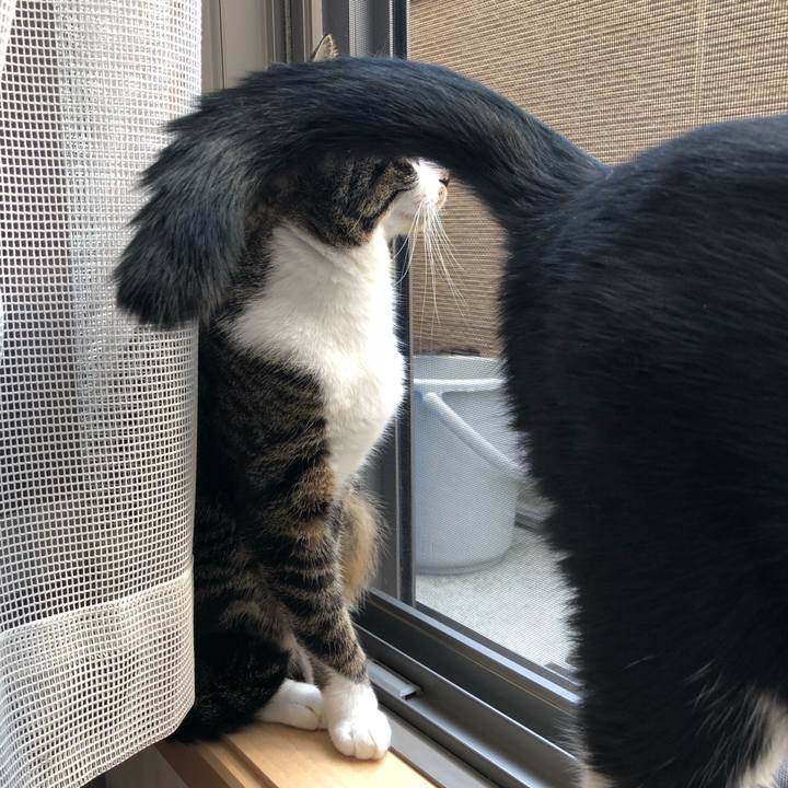 Dacf3bd1 fd43 4e29 b736 23328501217f 1541467812177