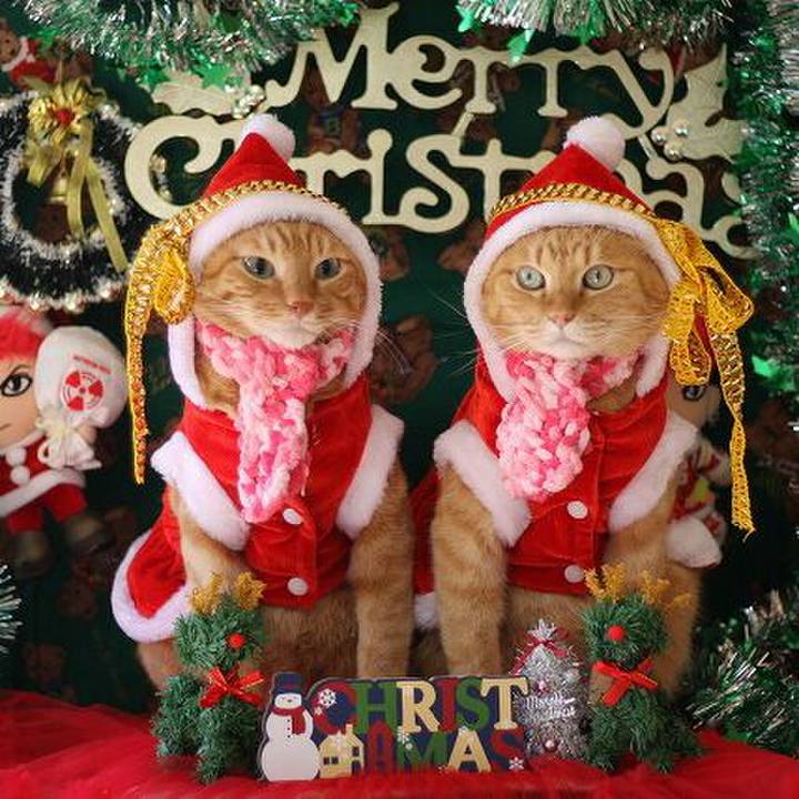 Dacf3f83 627f 448a 93d0 5af6923af12e 1545450060736