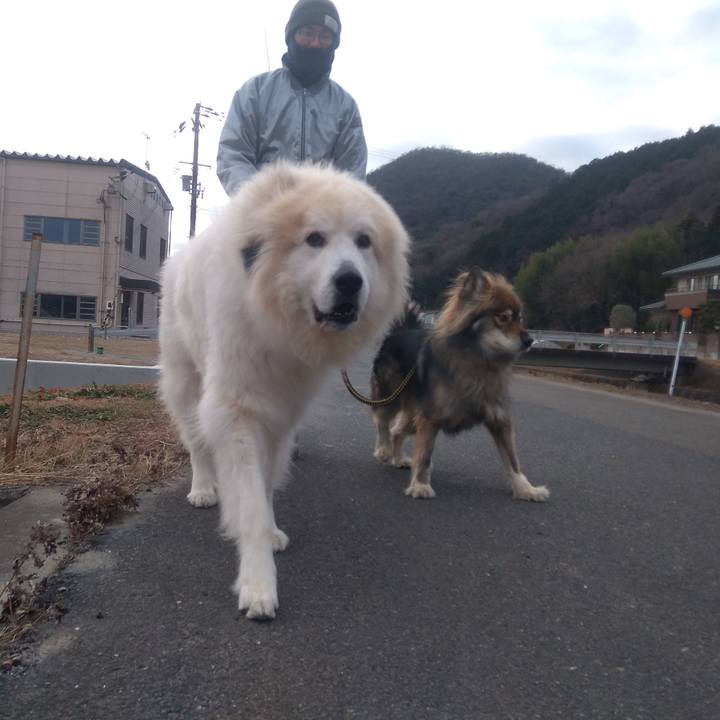 Dacf6230 30bd 4ed0 a021 2c85a06b5990 1642421014418