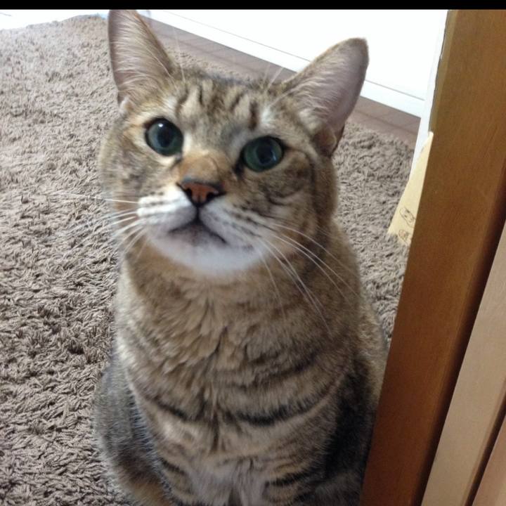 Dacf89ee 94c7 4b5c 90bf 7f432870713f 1697466951762