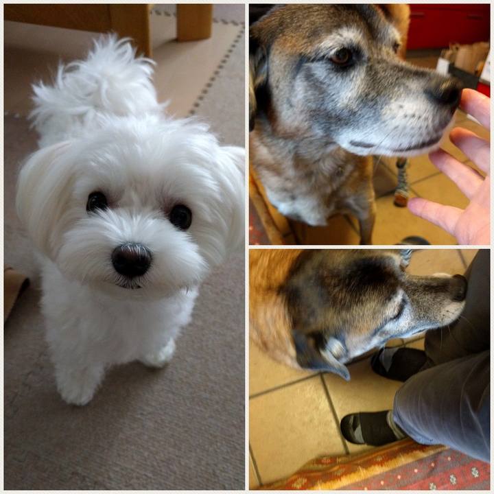 Dacfa1b6 1dc7 439c 8a7c 831865e1bef2 1540972343397