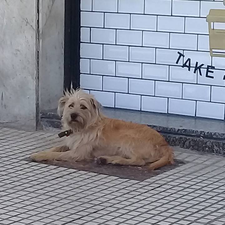 Dacfbfd9 d6ce 451a 901b e46cd9931ad5 1553772599708