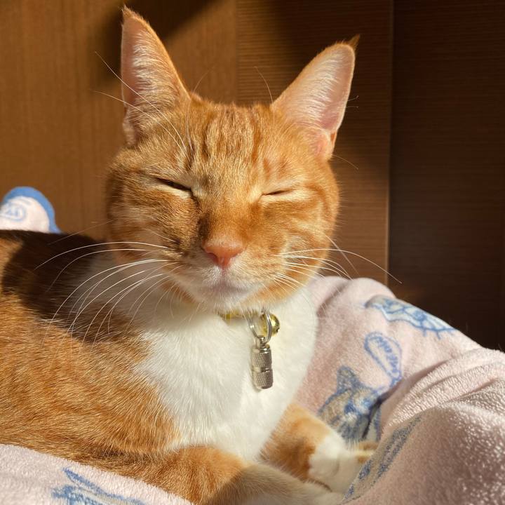 Dacfc3ff 6a65 4f4a b6ee 47407ae8b967 1580891001849