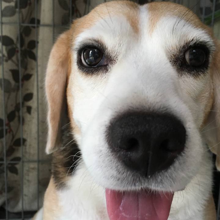 Dacfdcce 72f8 473f 9f8d 476ef181a44d 1536239717444